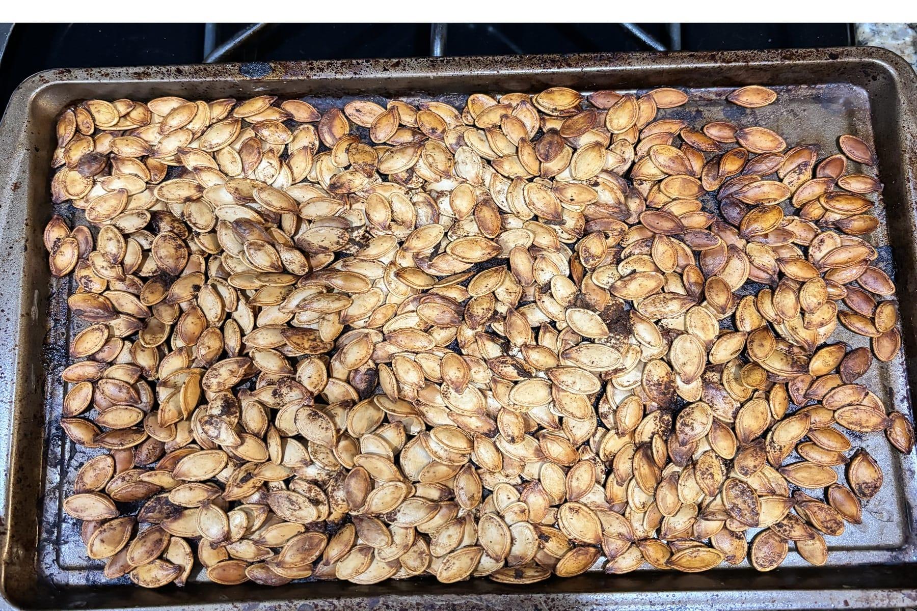 Cajun Pumpkin Seeds Recipe