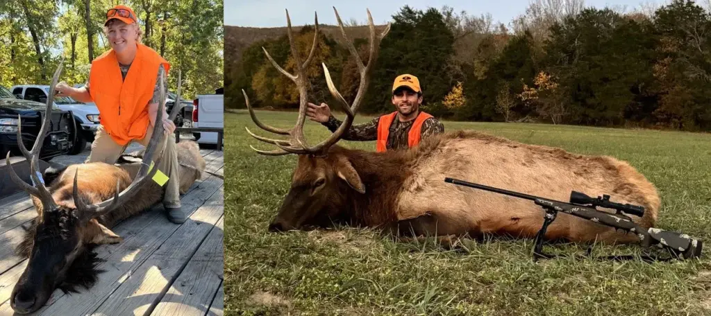 arkansas 2024 elk season