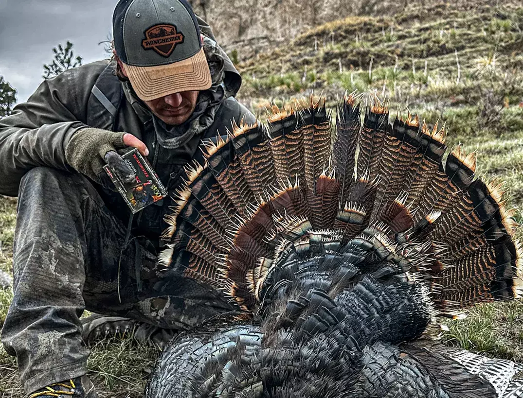 A Turkey Hunt in the Shadow of Chimney Rock