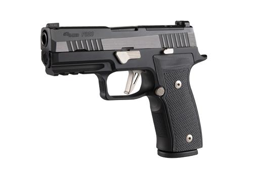 Sig Sauer p320 axg equinox left side view