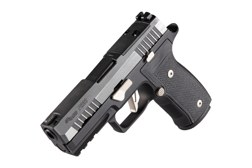 Sig Sauer p320 axg equinox top view