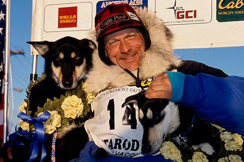 Iditarod racing finish