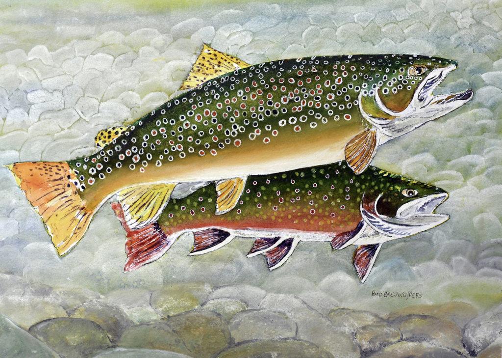 trout art