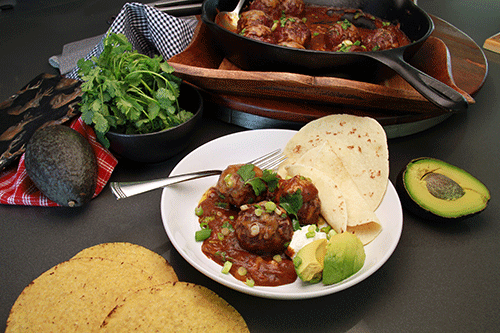 Elk Meatball Enchiladas