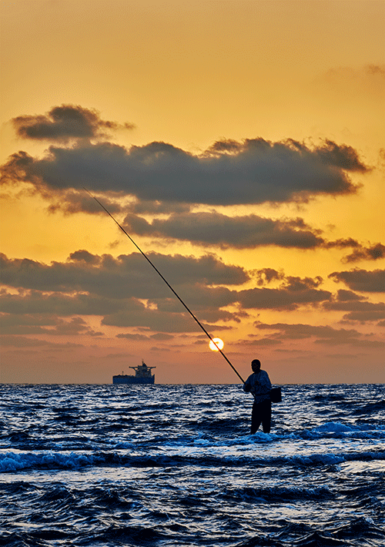 surf fishing