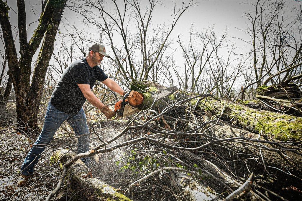 Michael Waddell Bone Collector