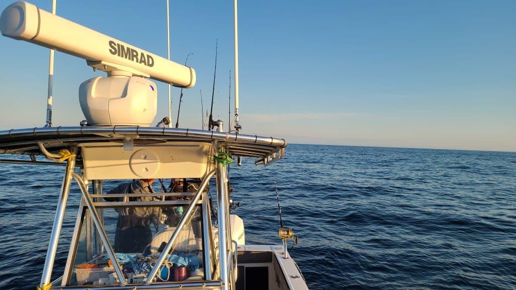 fishing off cape cod