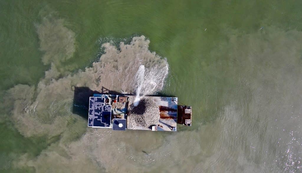 toadfish oyster conservation