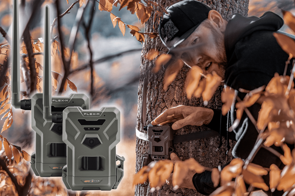 spypoint flex-m trail camera