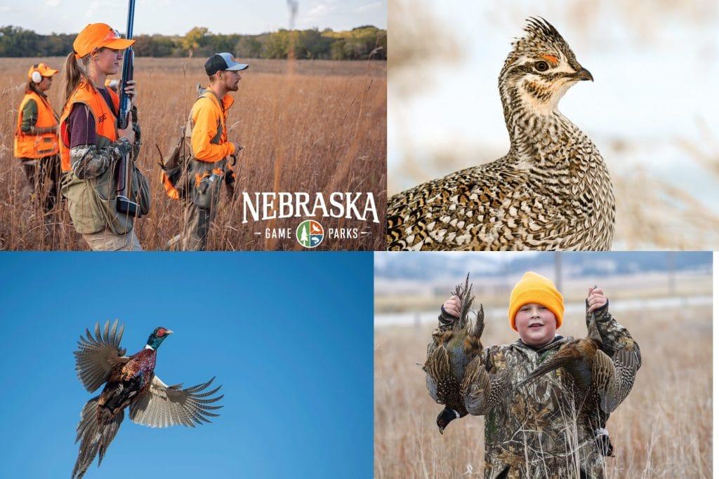 upland birds in nebraska