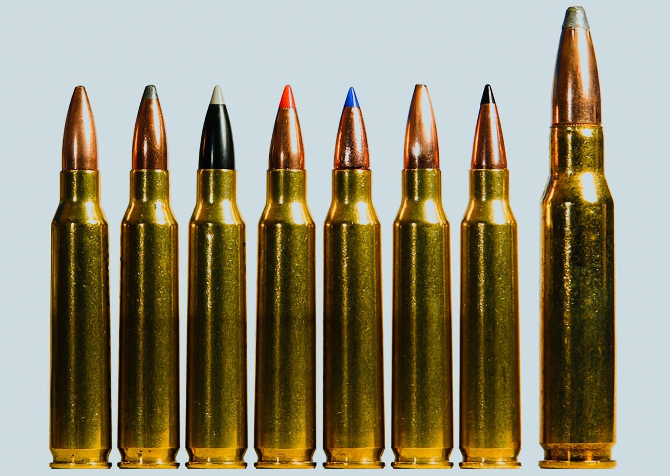 Various .223 cartridges with one .308 cartridge.