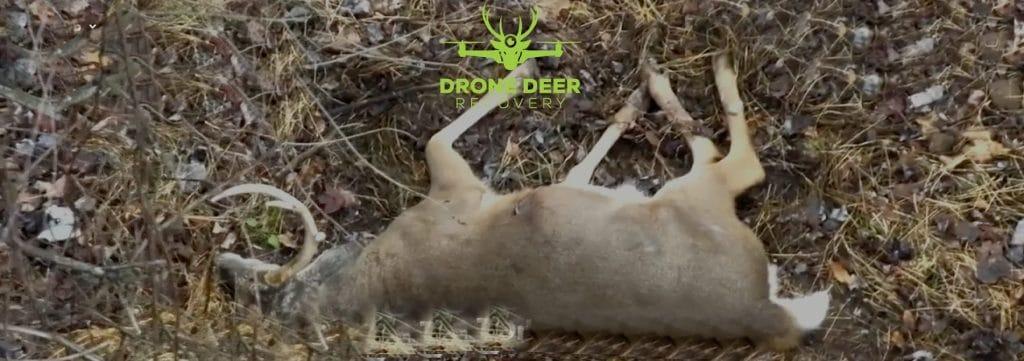 Drone Deer Recovery