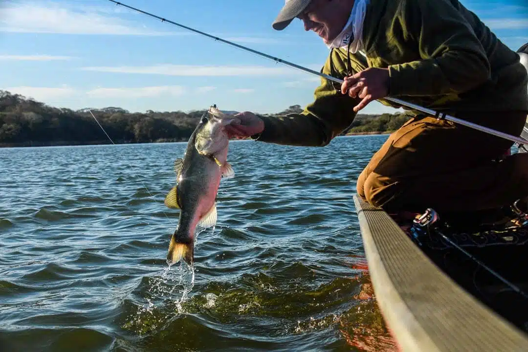 Lake El Salto, New Lake Picachos and The : January & February 2019 -  Anglers Inn