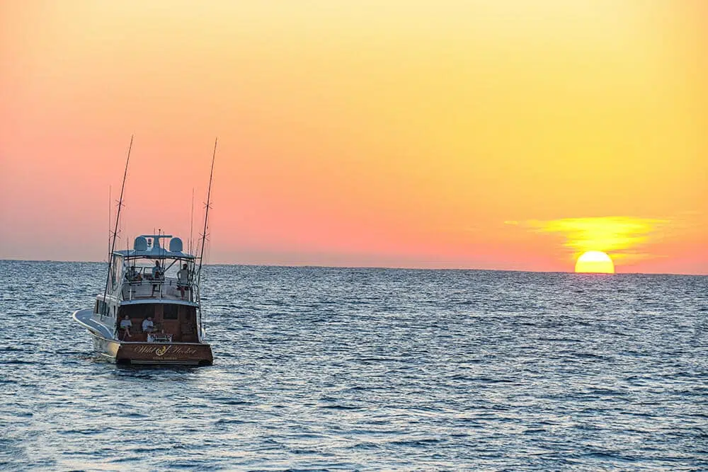 Rapala Fishing Lure / Signed by Josh Beckett / Florida Marlins 