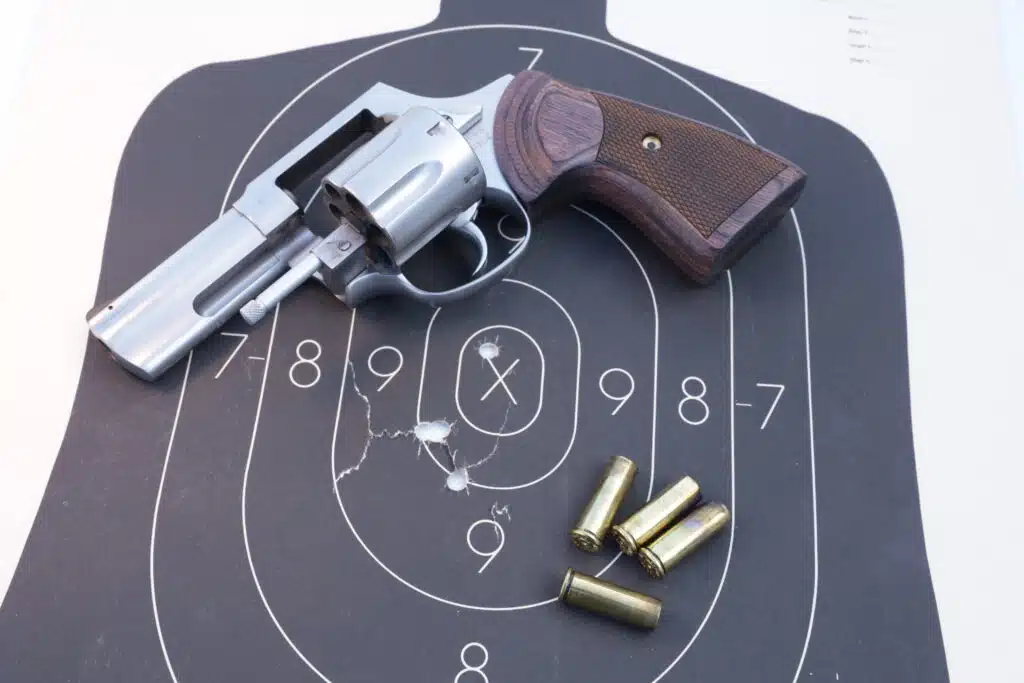 Taurus 856 .38 Special Revolver Review - Guns and Ammo