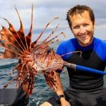 Spearfishing for Lionfish