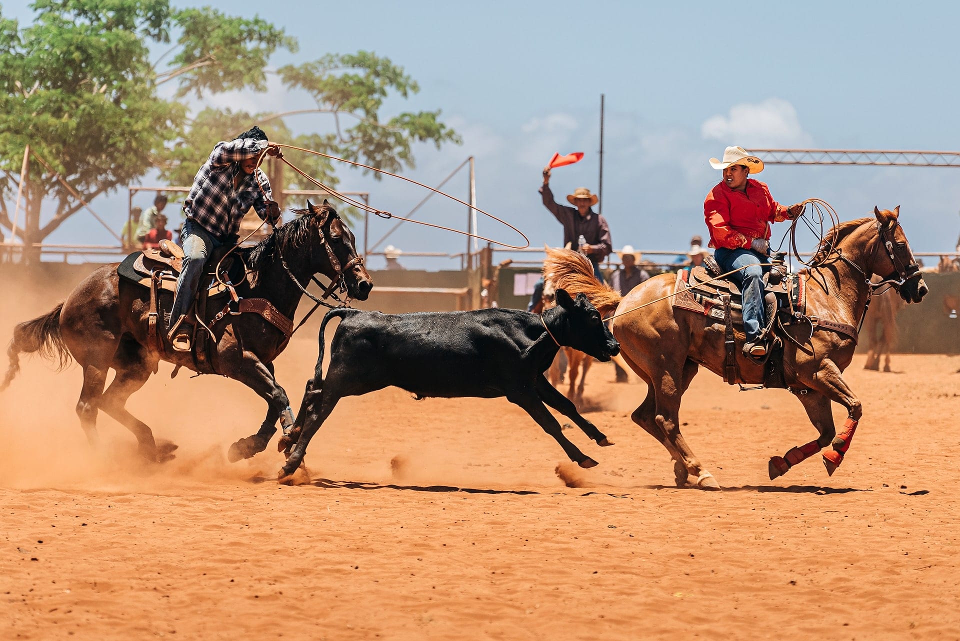 Hawaiian Cowboys 