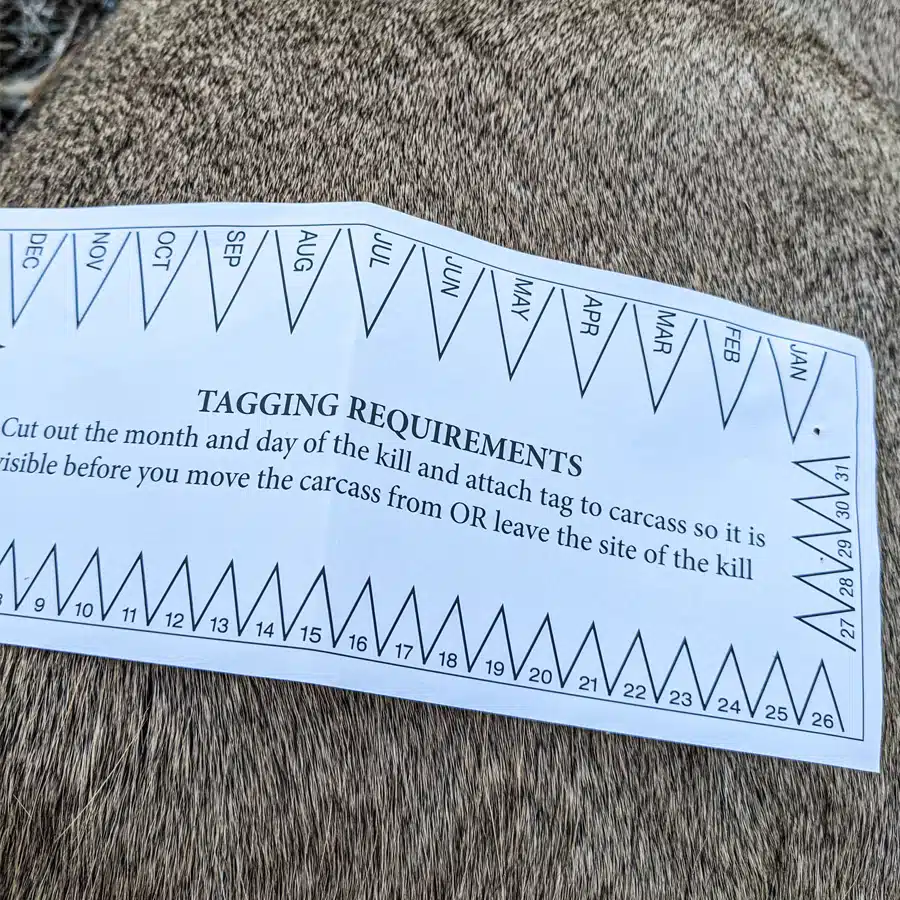 hunting tags