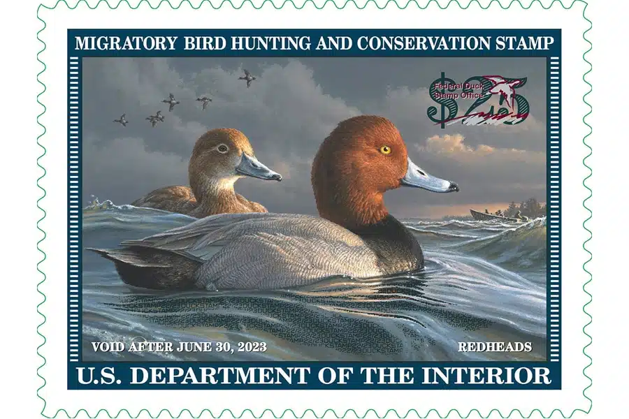 Federal Duck Stamp Will Have Electronic Option In 2024 Hook