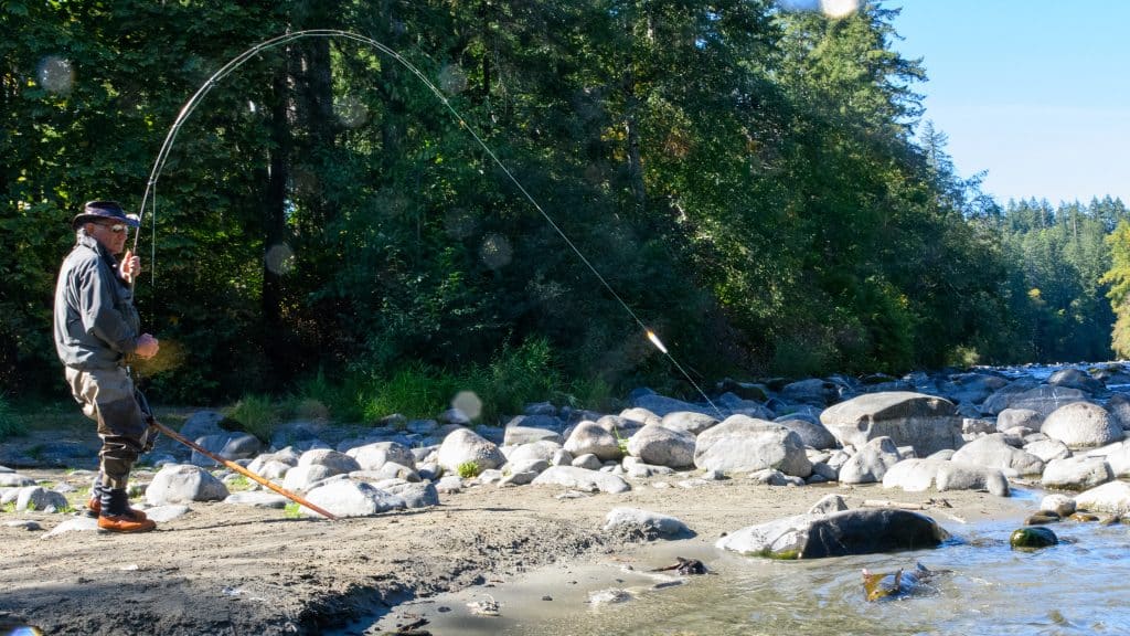 fly fishing for salmon