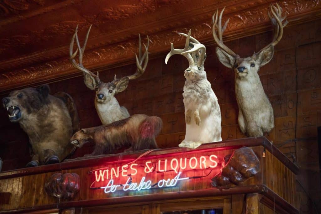 Jackalope in bar Wyoming