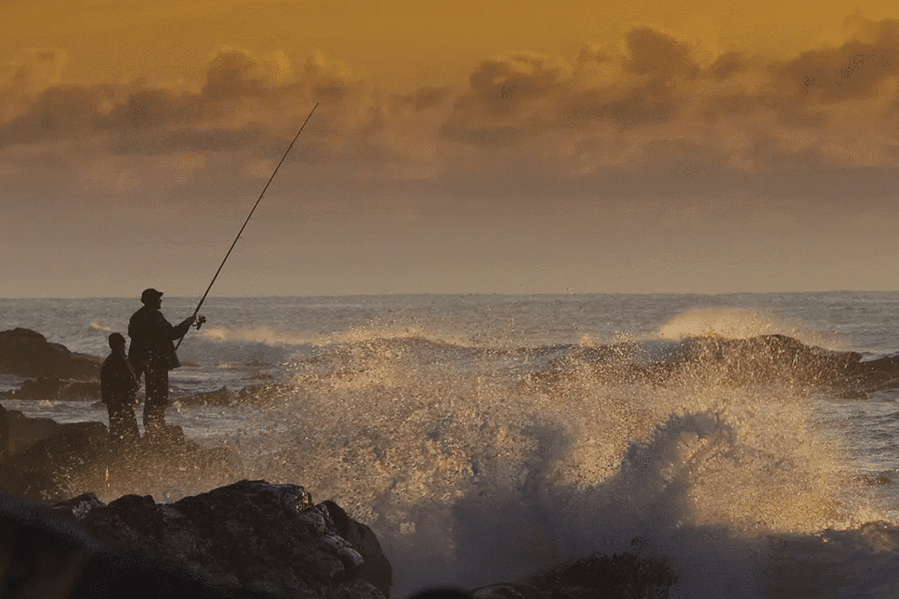 Fly Fishing the Surf on the Central Coast - Harvesting Nature