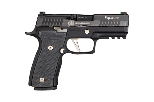 Sig Sauer p320 axg equinox right side view