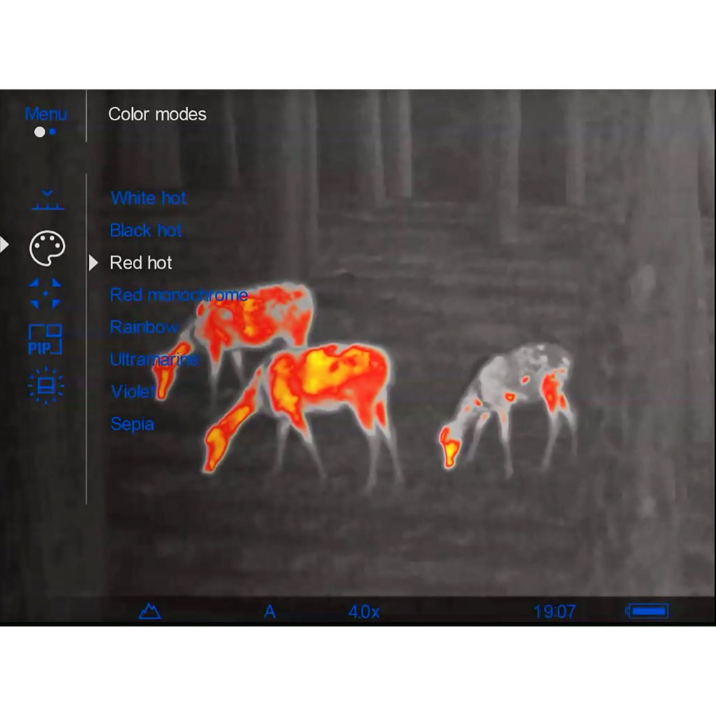 Bowhunting with Thermal: OPTIONAL?