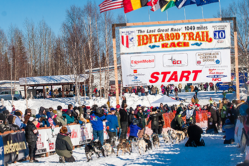 Iditarod race starting point