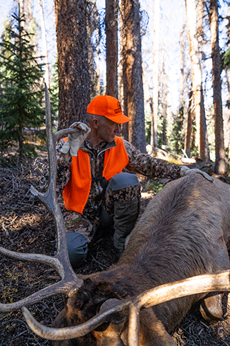 Yes, You Can Hunt Elk On Your Own