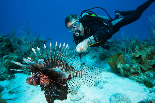 Guy Harvey swimming with a lion fish